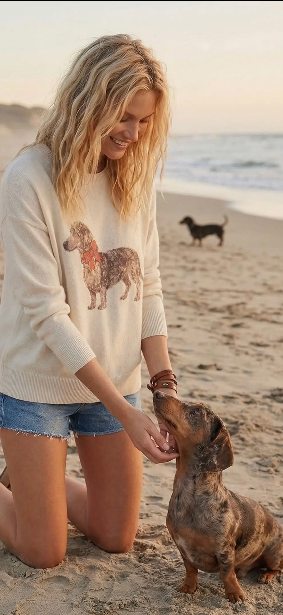 Holiday Hound Sweater